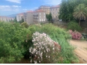 Local commercial ou appartement - Sartène